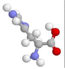 氨基酸（Amino acid）是构成蛋白质(protein)的基本单位，赋予蛋白质特定的分子结构形态，使它的分子具有生化活性。蛋白质是生物体内重要的活性分子，包括催化新陈代谢的酶。.jpg