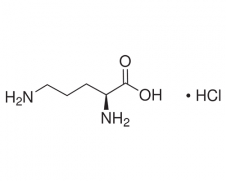 L-Ornithine Hydrochloride
